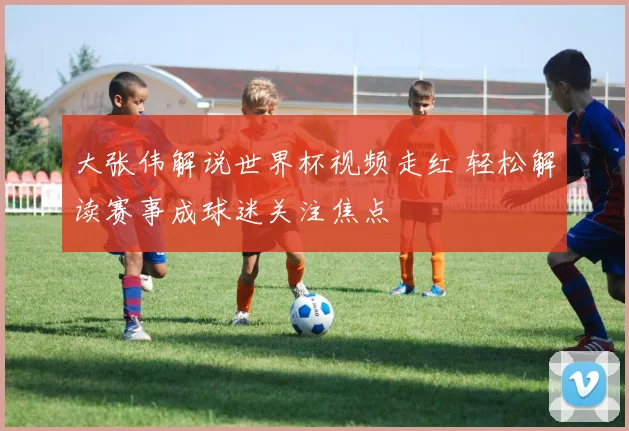 大张伟解说世界杯视频走红 轻松解读赛事成球迷关注焦点