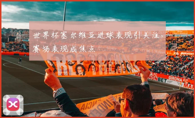 世界杯塞尔维亚进球表现引关注,赛场表现成焦点