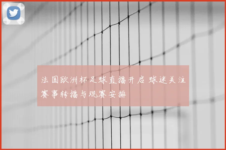 法国欧洲杯足球直播开启 球迷关注赛事转播与观赛安排